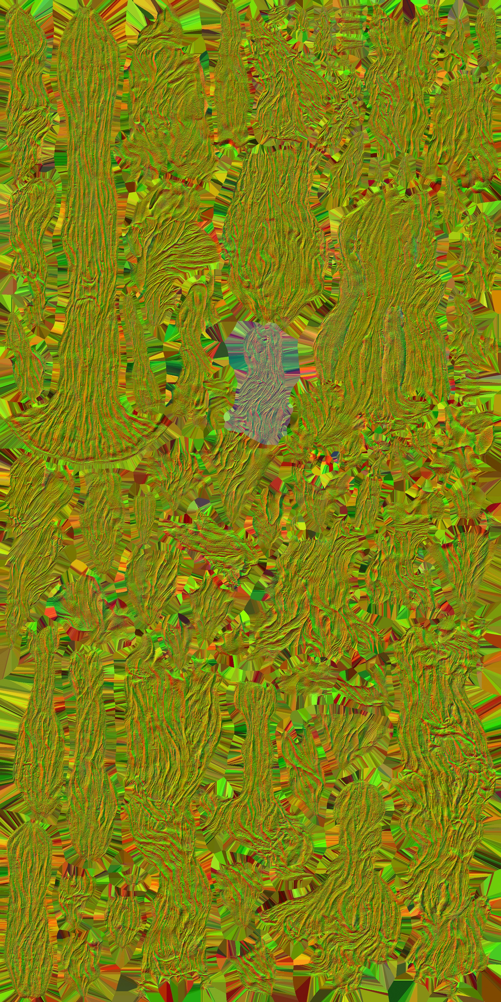 c5230_Body_n.jpg
