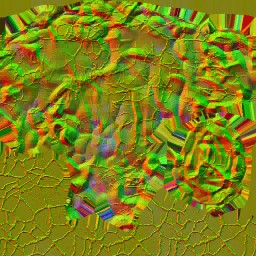 c5260_WP_A_1171_n.jpg