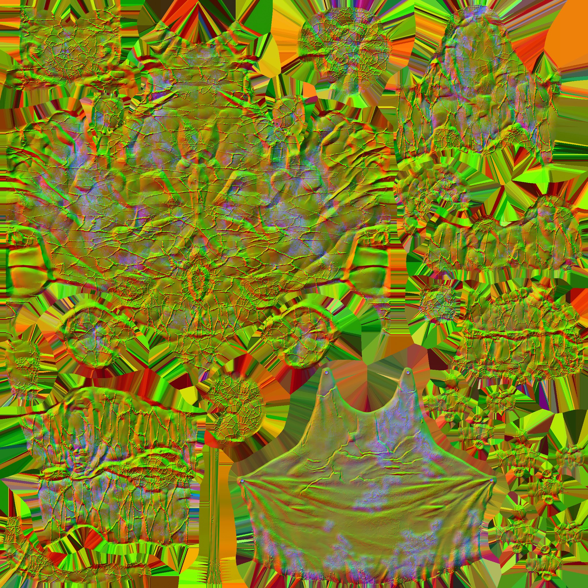 c5261_Body_n.jpg