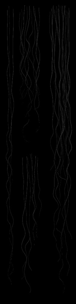 c5360_Hair_a.jpg