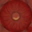 c5390_eyes_red_a.jpg