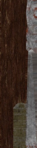 c5510_WP_A_0920_a.jpg