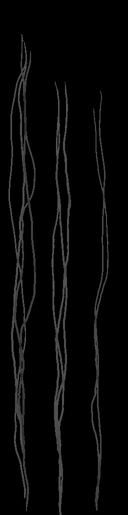 c5511_hair_a.jpg