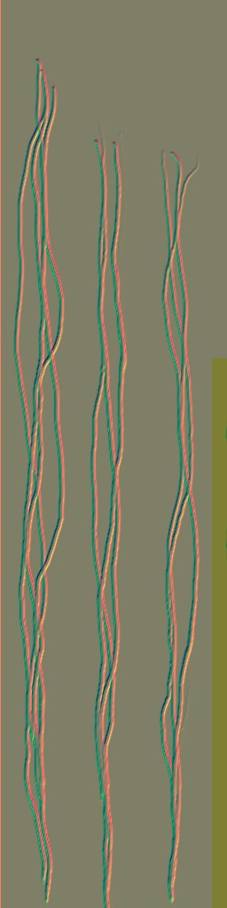 c5511_hair_n.jpg