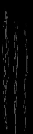 c5512_hair_a.jpg