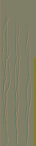 c5512_hair_n.jpg