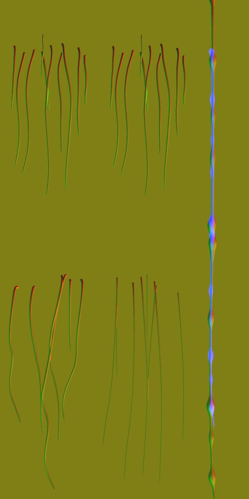 c5513_Fur_n.jpg