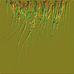 c5524_fur2_n.jpg