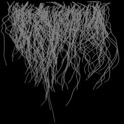 c5524_fur3_a.jpg
