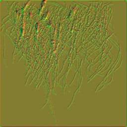 c5524_fur3_n.jpg