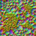 c5526_Tick_n.jpg