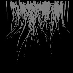 c5526_fur2_a.jpg