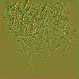 c5526_fur3_n.jpg