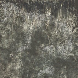 c5527_fur_color_a.jpg