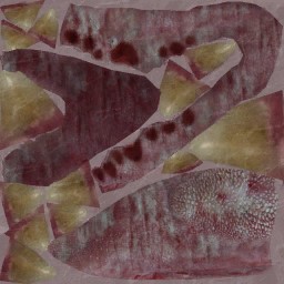 c5530_Mouth_a.jpg