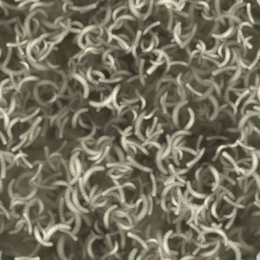 c5590_maggot_a.jpg