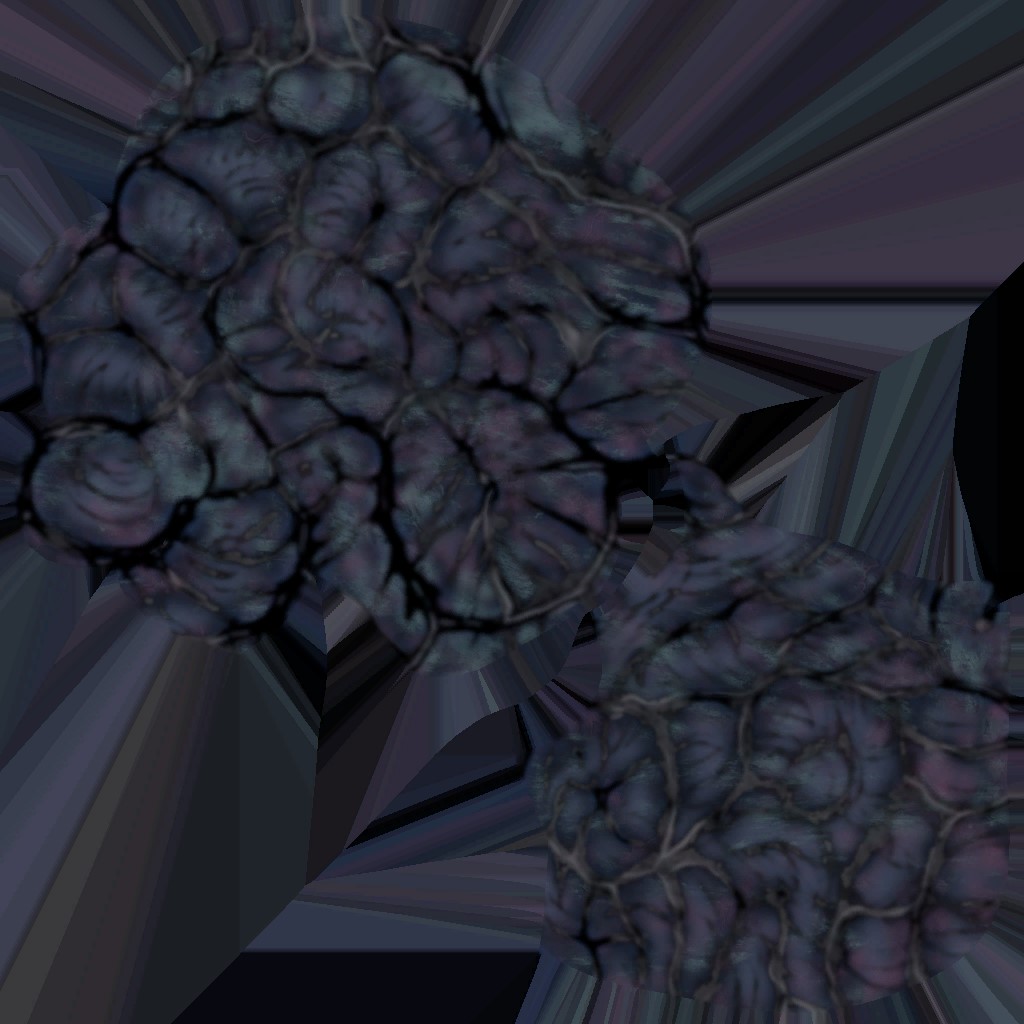 c5591_oil_a.jpg