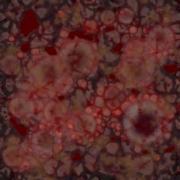 c5591_skin_a.jpg