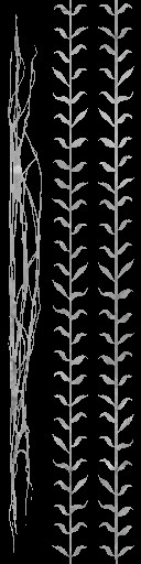 c5630_Grass_a.jpg