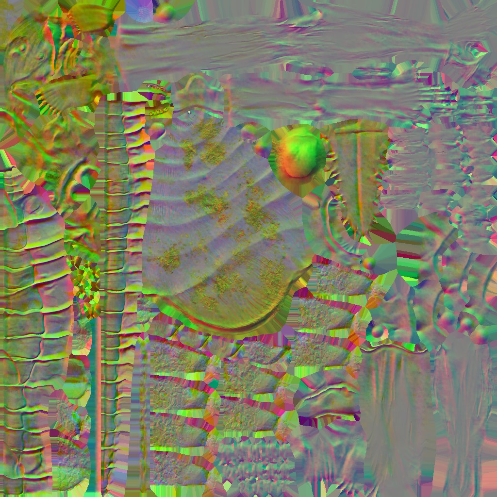 c5740_body_Scarlet_n.jpg