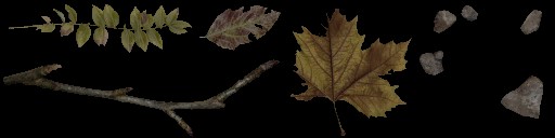 c5780_Dirt_a.jpg