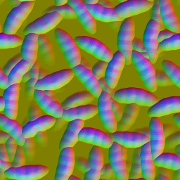 c5860_maggot_n.jpg