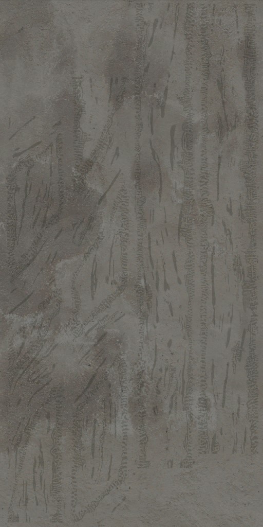 c6232_AM_a.jpg