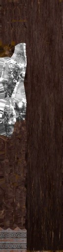 c6320_WP_A_1310_a.jpg
