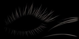 c8906_EyeLash_a.jpg