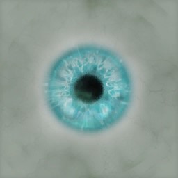c8907_FC_Eye_a.jpg
