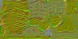c2010_LG_n_l.jpg