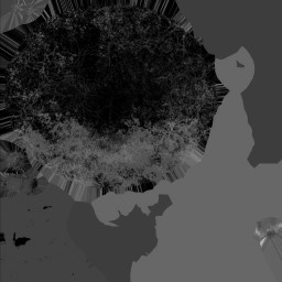 c2030_Egg_m_l.jpg