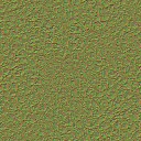 c2060_skin_n_l.jpg