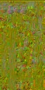 c2160_WP_Wand_n_l.jpg