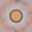 c2180_Eye_a_l.jpg