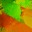 c2180_Mant_v_l.jpg