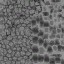 c2275_Crystal_a_l.jpg