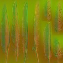 c2500_feather_n_l.jpg