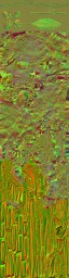 c3070_WP_A_0860_n_l.jpg