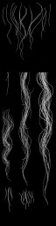c3181_Hair02_a_l.jpg