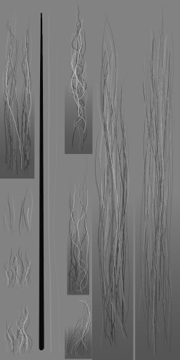 c3181_Hair_a_l.jpg