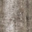 c3251_Shield_bark_a_l.jpg