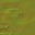 c3300_face_n_l.jpg