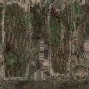 c3361_quiver_a_l.jpg