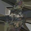 c3370_BD_fur_a_l.jpg