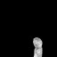 c3371_HD_m_l.jpg