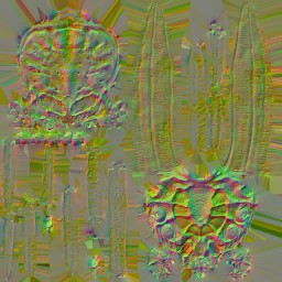 c3664_Crab_n_l.jpg