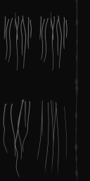 c3664_Fur_a_l.jpg