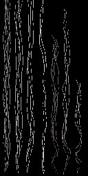 c3670_hair_a_l.jpg