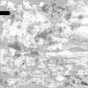 c3910_BD_m_l.jpg
